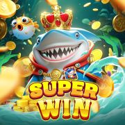 55ccbet
