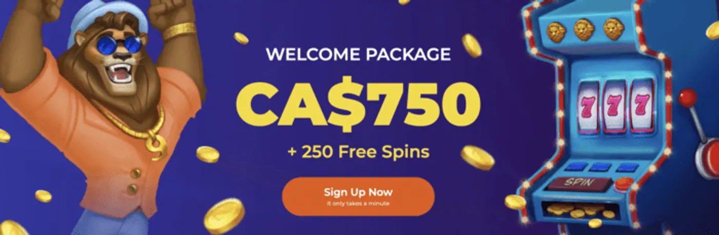 6686bet