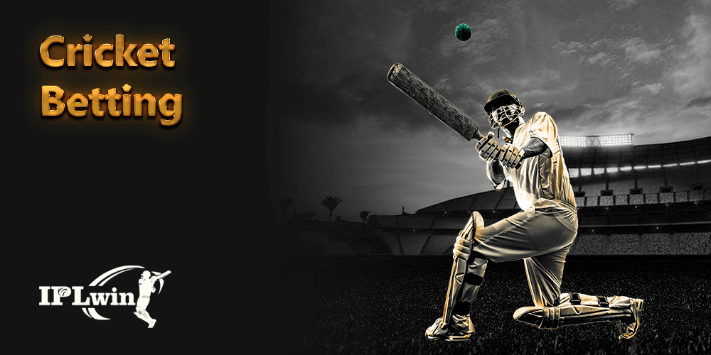 971bet login