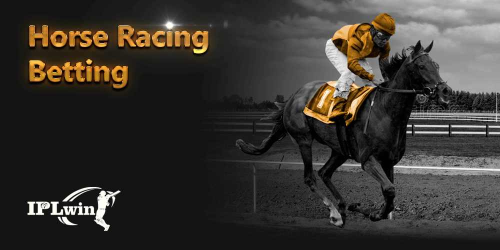 Xx345bet login